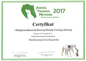 Certyfikat metody treningu